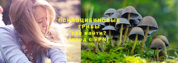 кокаин колумбия Богданович